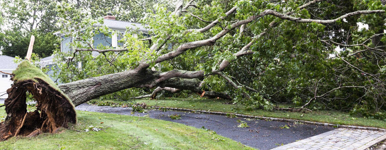 When Storm Damage Strikes, Your Home’s Equity May Be Able to Help