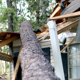 Start Recovering and Rebuilding Your Financial Life